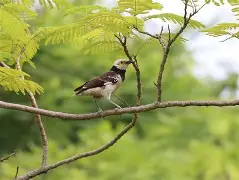 关于0旚?+t?Ah,Hc澷F辇稏椋`掳!?h罧e蘤.RTIT鱜葢g?%的信息